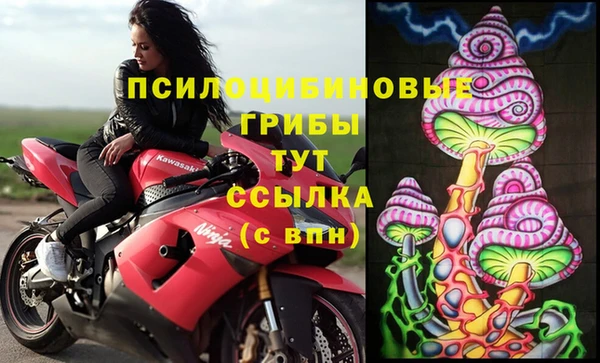 стафф Валдай