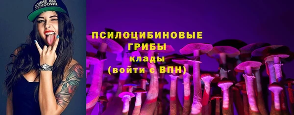 ГАЛЛЮЦИНОГЕННЫЕ ГРИБЫ Осташков