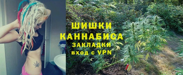 ГАЛЛЮЦИНОГЕННЫЕ ГРИБЫ Осташков