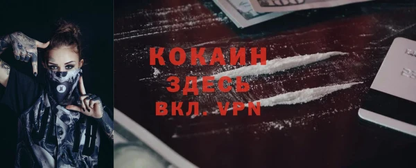 ГАЛЛЮЦИНОГЕННЫЕ ГРИБЫ Осташков