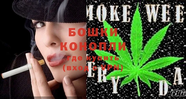 гидра Осинники