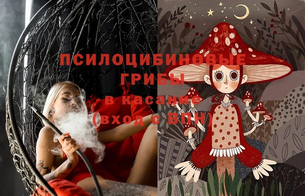 гидра Осинники