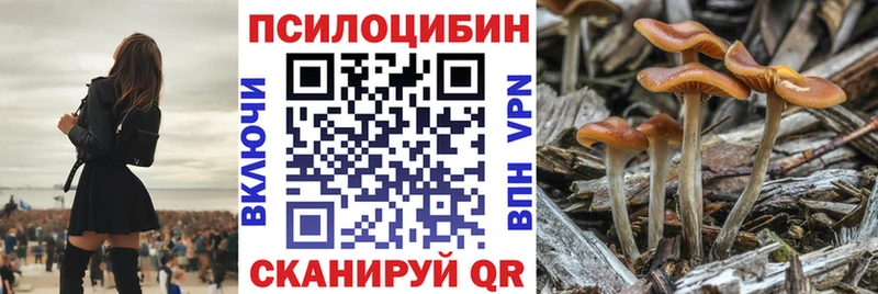 Галлюциногенные грибы Magic Shrooms  Ханты-Мансийск 