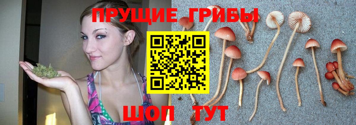 Ханты-Мансийск  Галлюциногенные грибы мицелий  Вход с VPN 